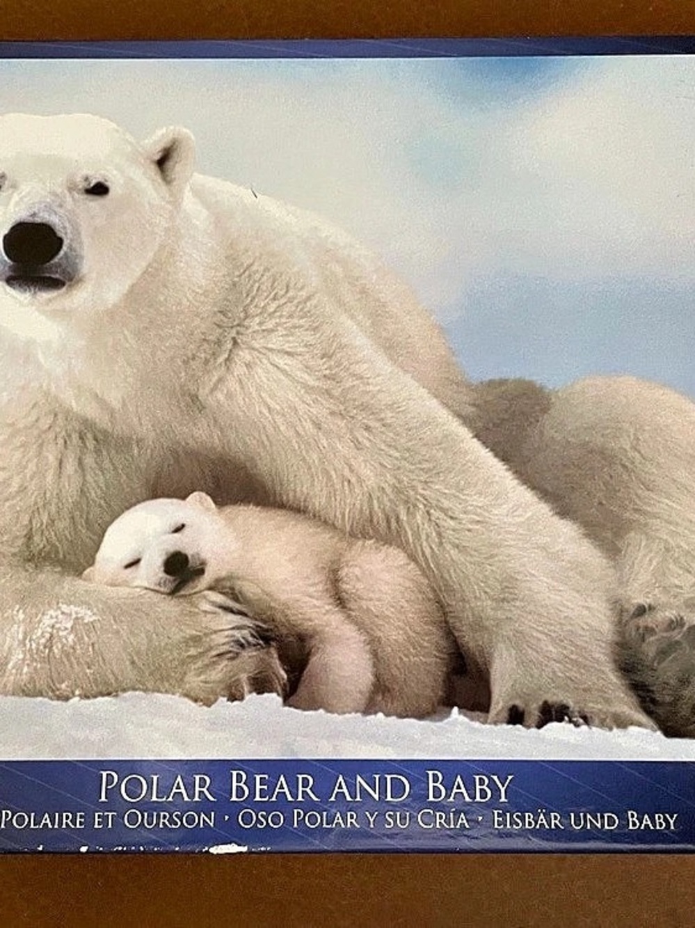 Eurographics “Polar Bear and Baby” 1000-Piece Premium Quality Puzzle